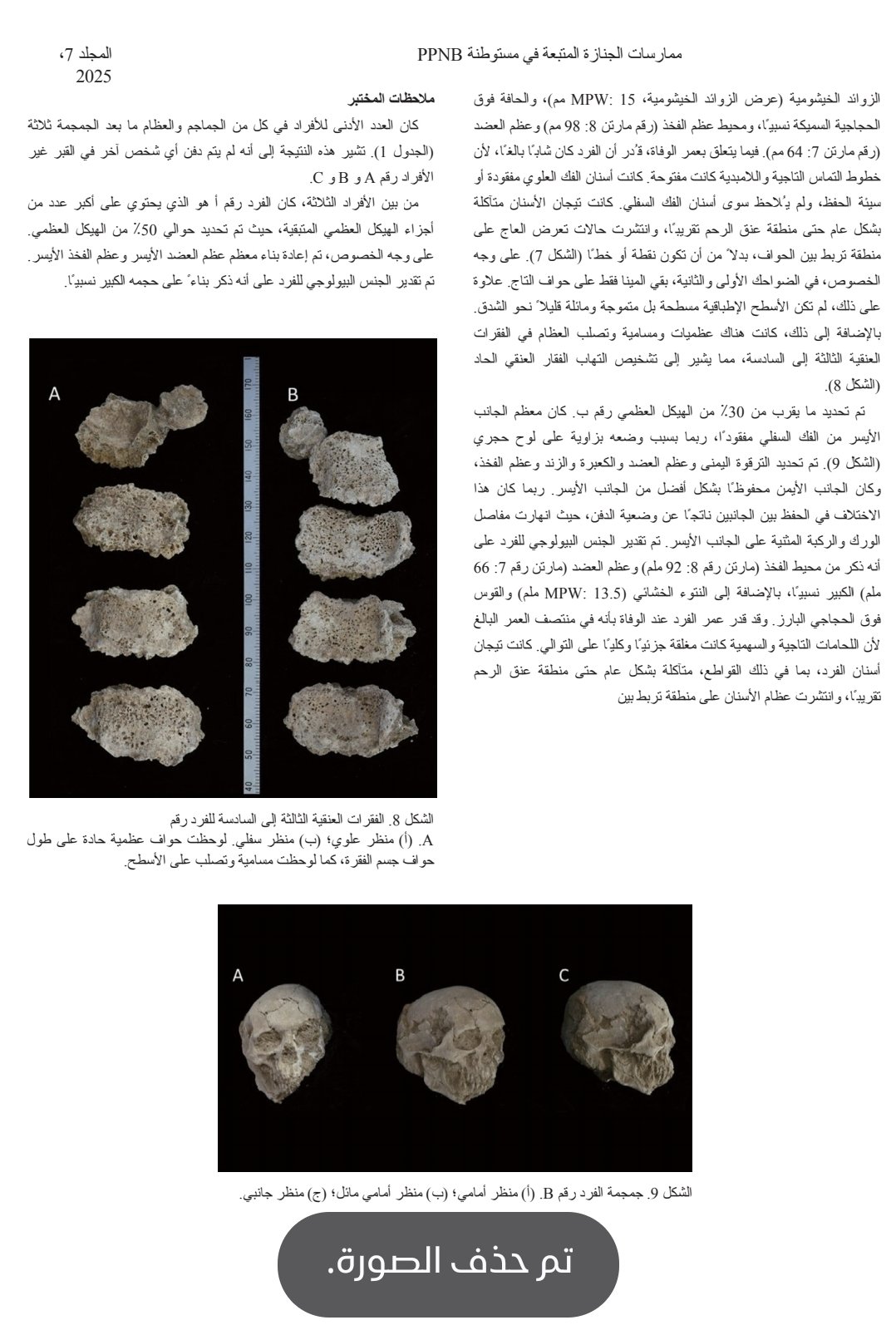 Screenshot_20250926_190335_Word